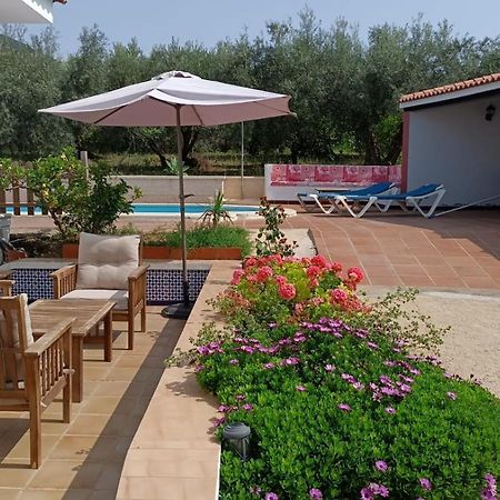 מאלגה Casa Rural Alejo מראה חיצוני תמונה