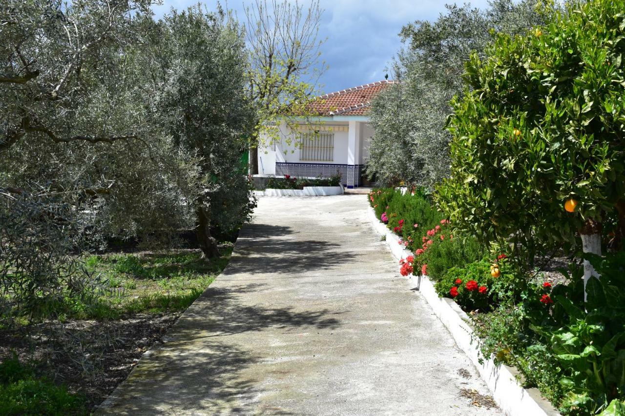 מאלגה Casa Rural Alejo מראה חיצוני תמונה